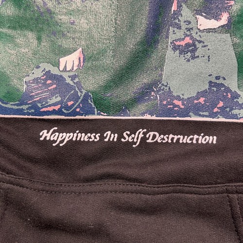 The Plot In You Happiness In Self Destruction Hoodie Sweatshirt Small schwarz - Bild 9 von 13