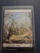 MTG Plains 0262 - NM Near Mint + - BLB - 2024
