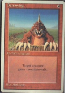 Burrowing (4th Edition)