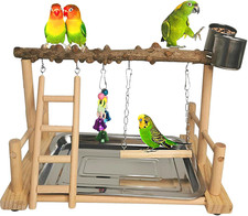 Parrot Playground Bird Playstand Wood Exercise Play Perch Exercise Gym with Feed