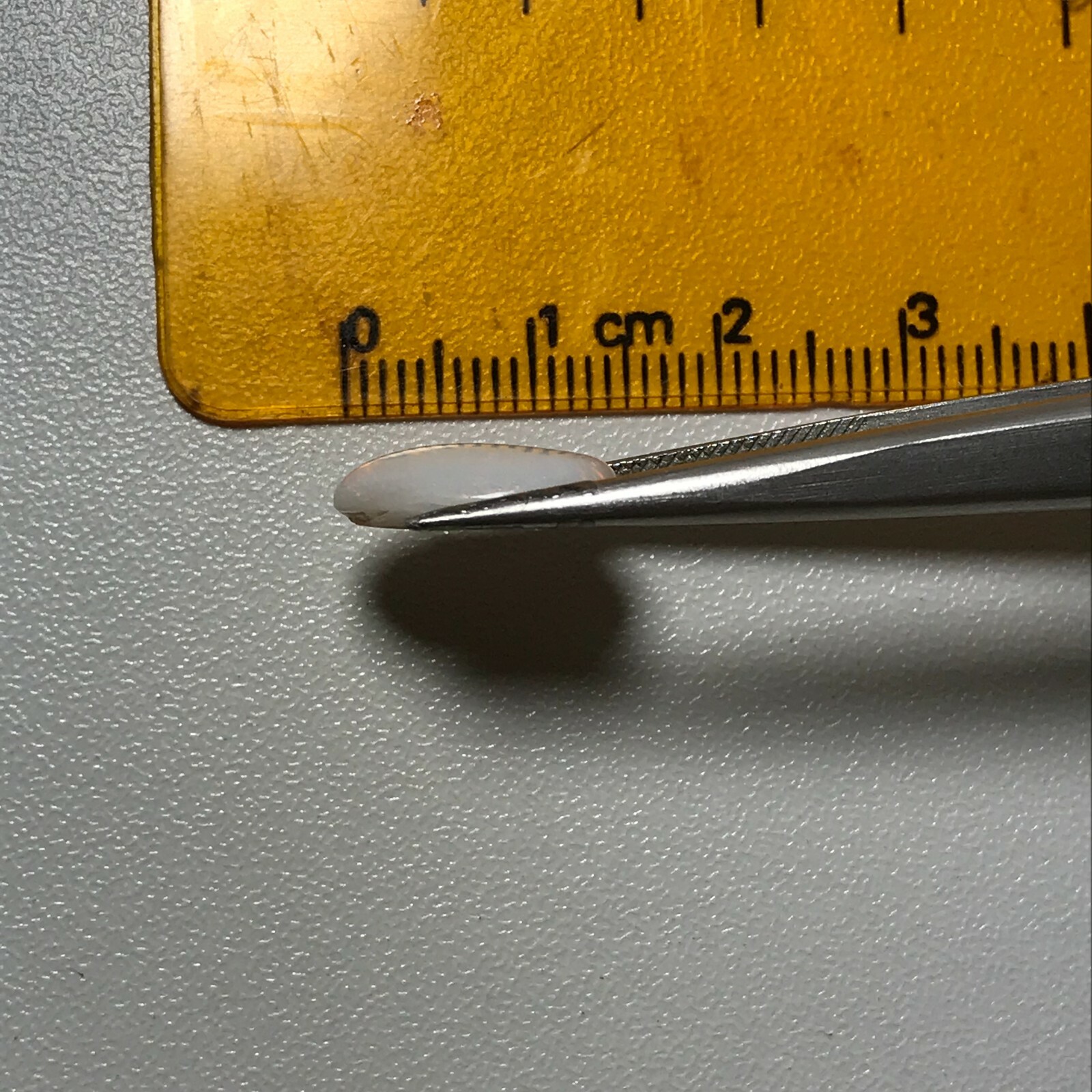 Picture 2 of 12
