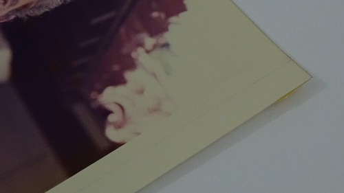 Fotografía firmada por el presidente Richard Nixon foto oficial de la Casa Blanca #F-10 - Imagen 4 de 6