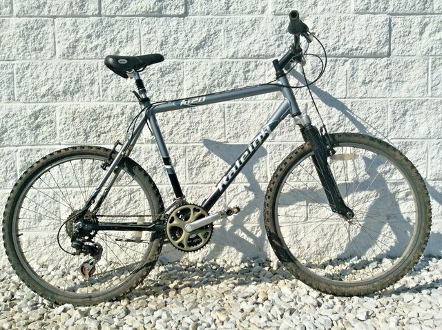 raleigh talus 1 recreational mountain bike