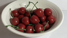 21 Fake Fruit Red Cherries w/Stems Realistic Life Size Decorative Decor EUC