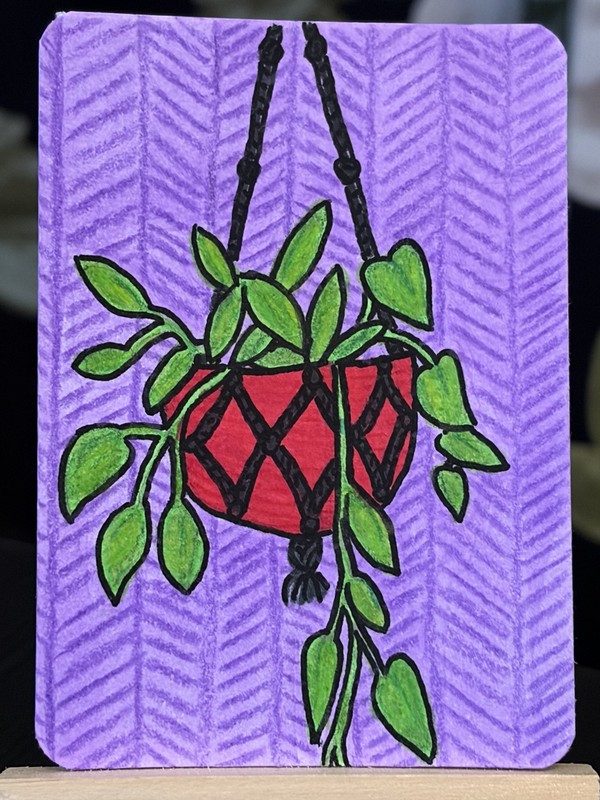 ACEO Art Trading Card Hanging Plant Drawing Miniature Original Illustration