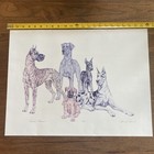 Photo 2/16