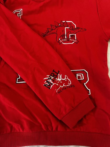 Mayoral Red Dinosaur Letters Sweater Size 9 Long Sleeves - Picture 7 of 17