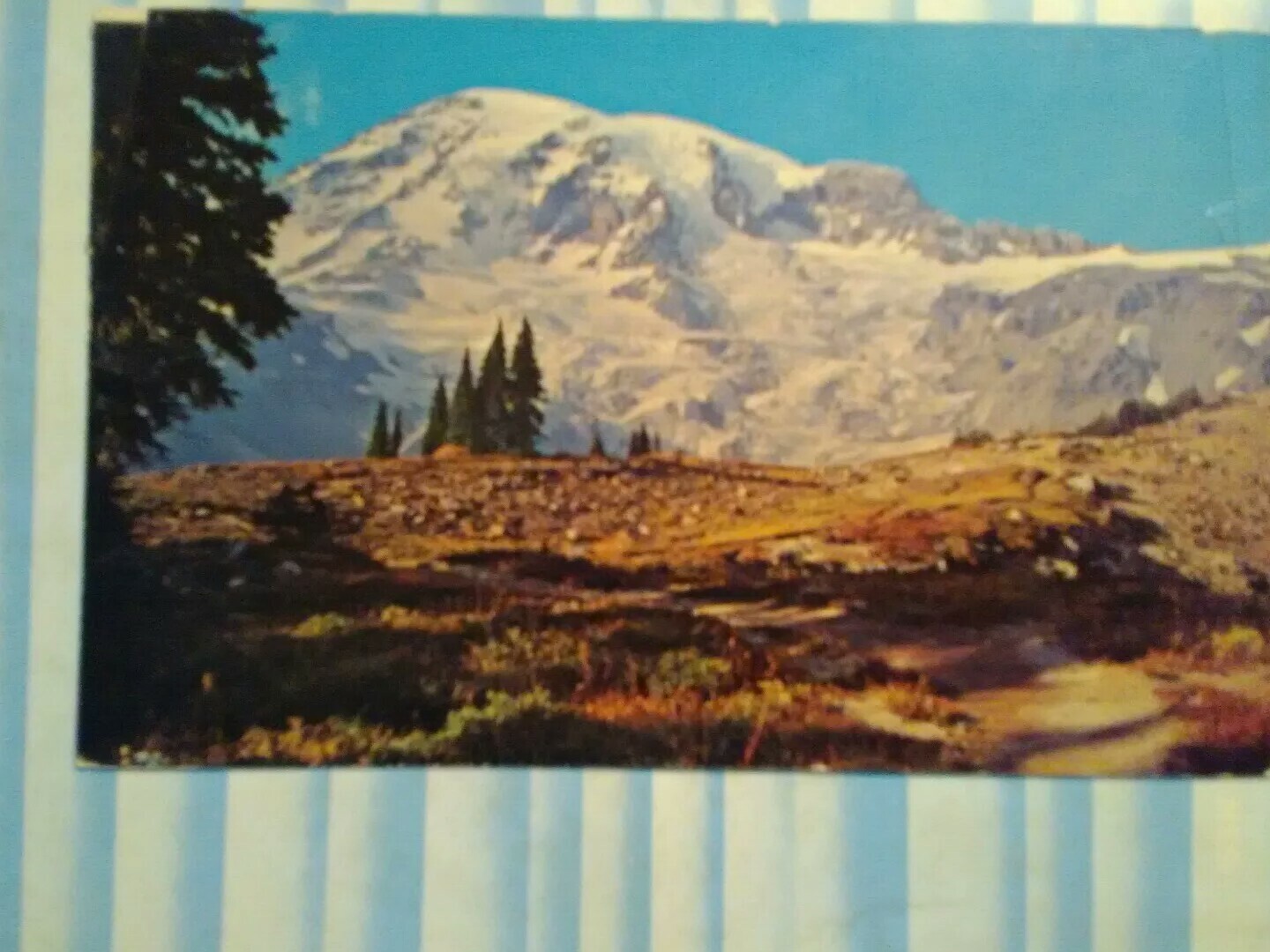 Picture 7 of 12
