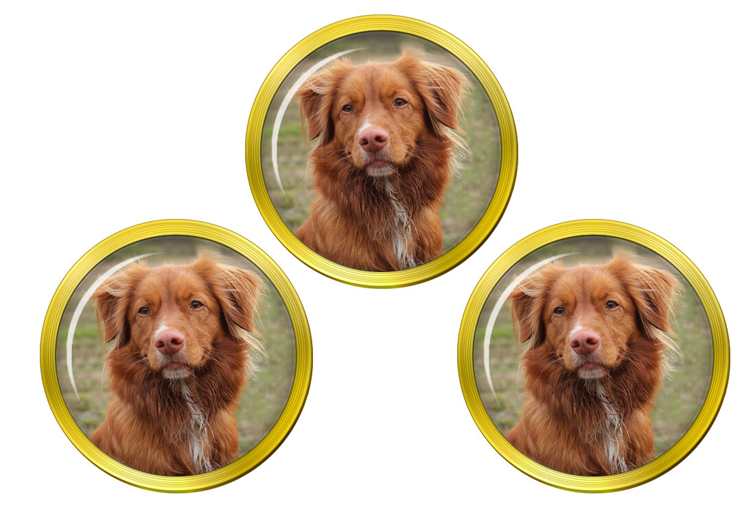 Nova Scotia Duck Tolling Retriever Golf Ball Markers