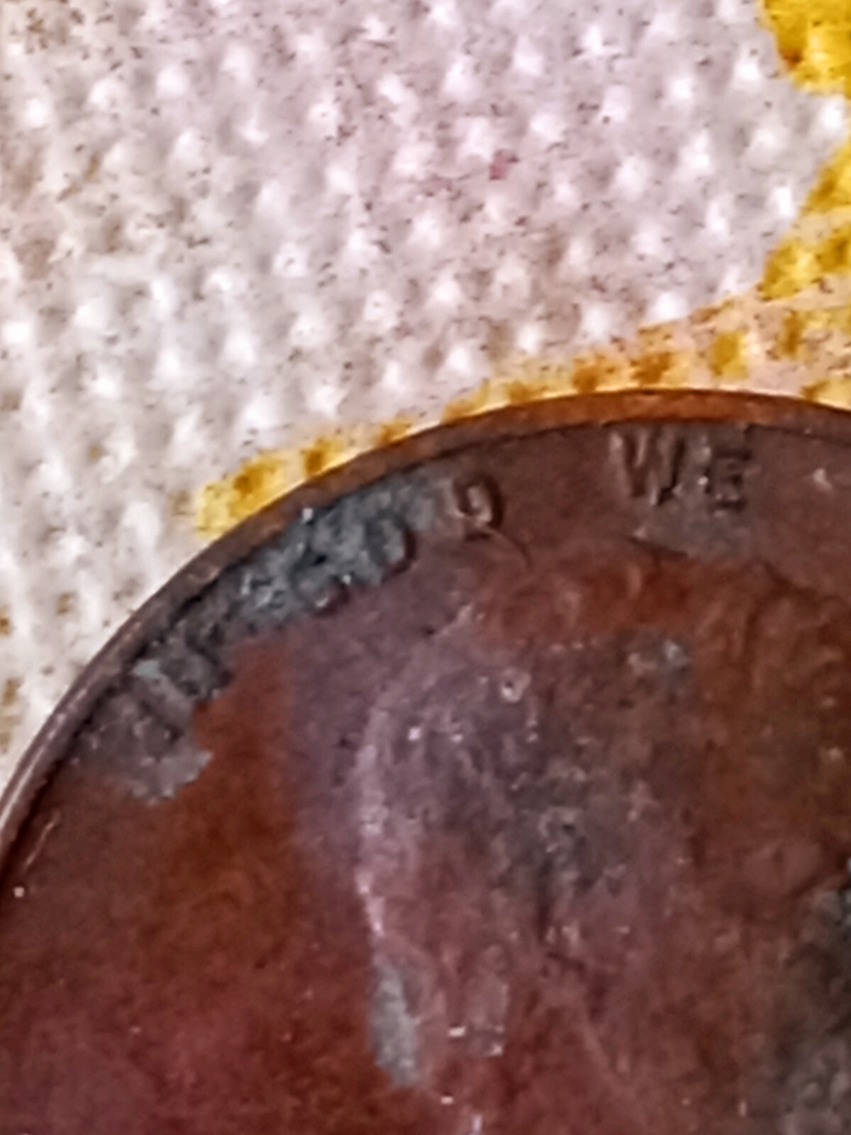 Picture 5 of 14