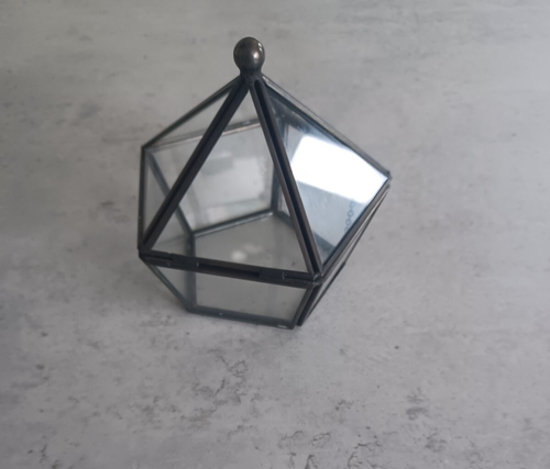 Geometric Small Glass Plant Terrariun/Pentagon Shape Clear Glass Vase - Black - Picture 4 of 6
