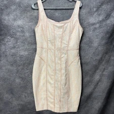 Y2K Cache Lace Sheath Bodycon Dress Pink Boning Corset Coquette Sleeveless
