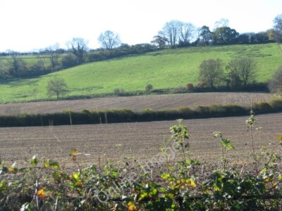 Photo 6x4 Fields south of Bingham's Melcombe Bramblecombe  c2010