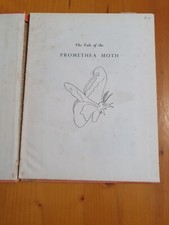 Tale Of The Promethea Moth. Henry B. Kane. Childrens Photo Story Book. 1946