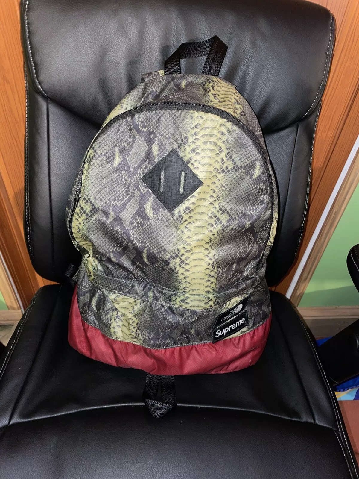 Sac à dos peau de serpent VNDS SS18 Supreme X The North Face