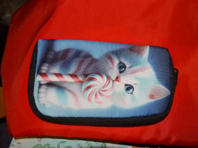 Geldbörse, Portemonnaie, Clutch, Kulturtasche, Kosmetiktasche, Geschenk ''Candy Cat''