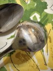 Bild 8 von 24