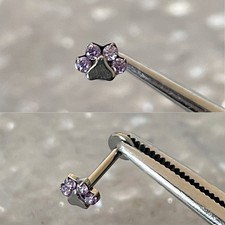 Titanium Pale Purple Gem Paw Print Internally Threaded Labret