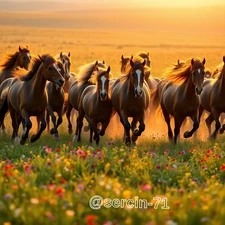 Digital Image Picture Photo Wallpaper Background Desktop AI Art Sample Product