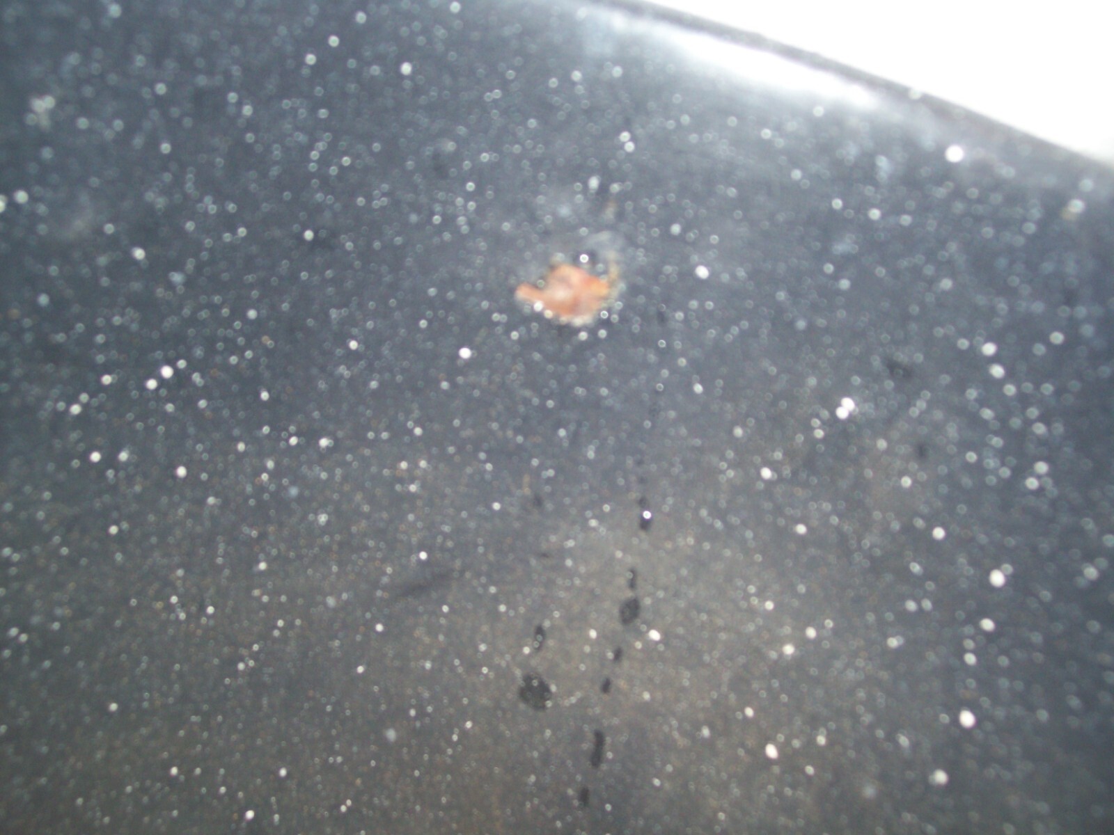 Picture 6 of 8
