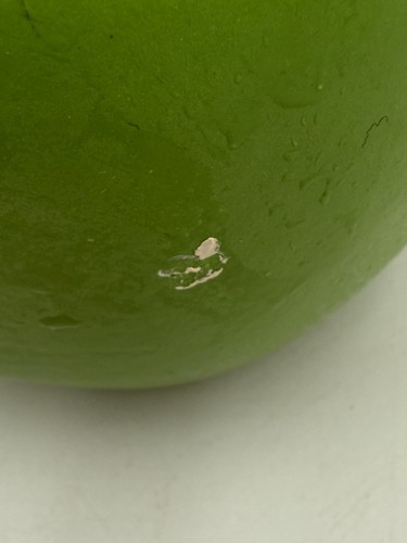 Vintage Signed Anthropomorphic Fruit Apple Head Folk Art Mexico signed C EL. Mex - Picture 5 of 6
