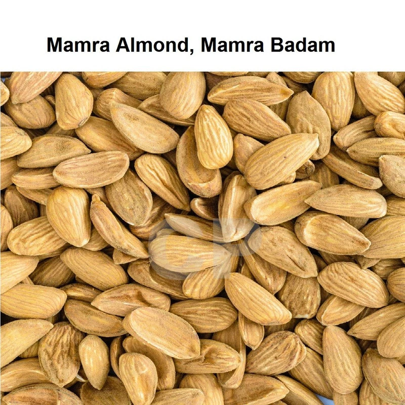 Mamra Badam Giri Mamra Almond Badam Premium Quality Almonds Badam