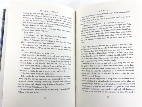 At Risk 1988 Vintage Novel Hardcover by Alice Hoffman - Picture 11 of 12
