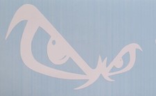 No Fear Eyes Vinyl Decal Cars Trucks Windows Laptops Boards Glass Cups