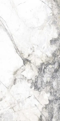 Bodenfliese Feinsteinzeug Caldera 60 x 120 cm silver  Bodenfliese