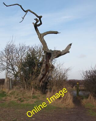 Foto 12x8 Stanton-by-Dale Umgebung, Derbys. Dale Moor Teil einer Öffentlichkeit für 2013
