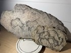 Bild 2 von 7