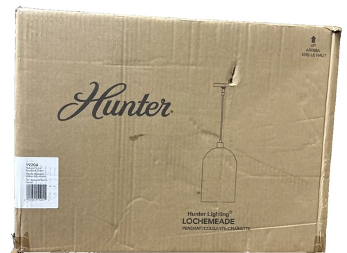 Hunter Fans 19204 Lochemeade 1-Light Pendant in Modern Style-9 Inches Wide - Picture 4 of 4