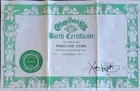 Vintage Cabbage Patch Kids Birth Certificate Girl ~ Emelyne Sybil ~ Coleco 1980s