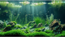 Aquarium Background Underwater Grass Leaves with Stone Aquarium Backdrop Vivi...