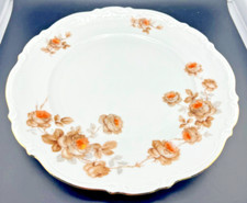 RARE MITTERTEICH BAVARIA GERMANY PORCELAIN NORWAY ROSE DINNER PLATES - SET OF 12