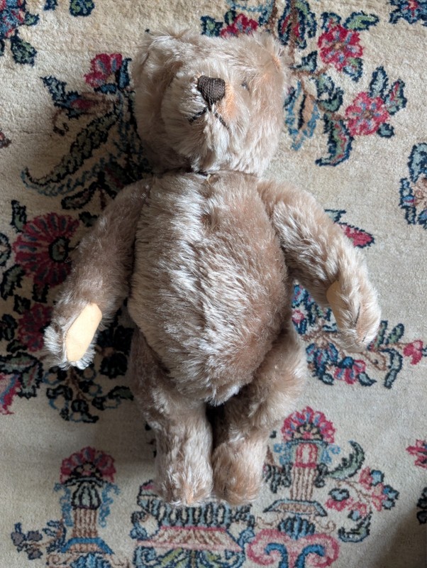 15" German Fully Jointed Mohair Teddy Bear Growler Glass Eyes