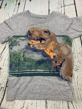 Kids Dinosaur Graphic Tee Boys Size 8 Grey Trex Christmas Gift