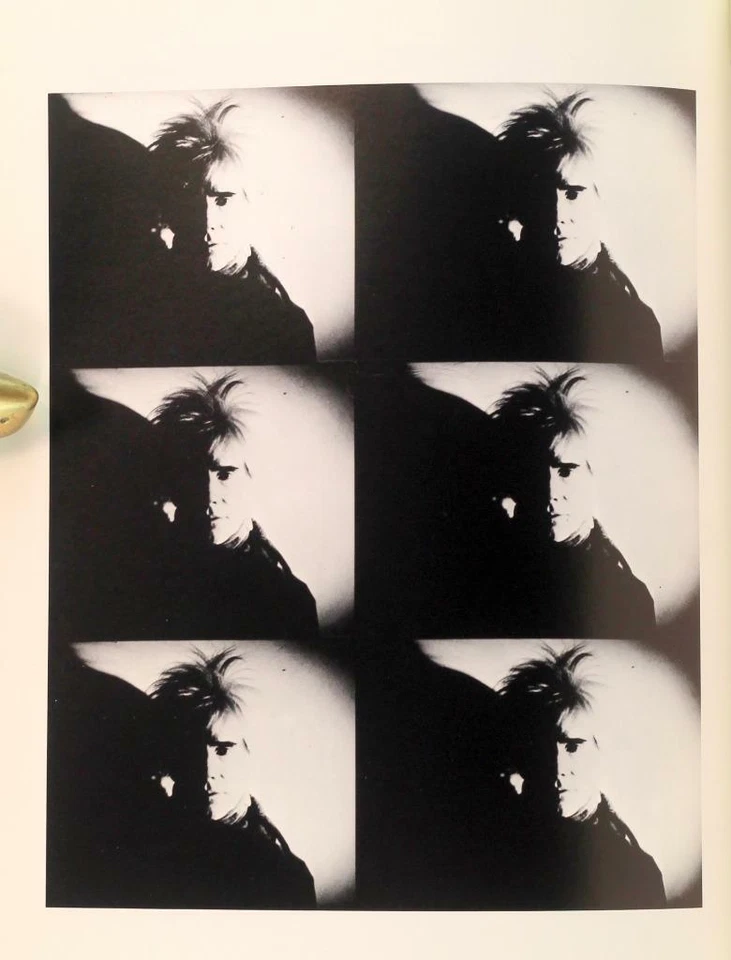 Brenda Richardson Andy Warhol Camouflage Gagosian Gallery Exhibtiion Catalog PB Foto 4 de 4