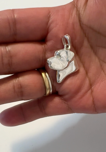 Medium Sterling Silver Rottweiler Head Study Pendant - 第 1 支影片，共 1 支