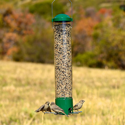 Perky Pet Squirrel Be Gone Bird Feeder Collapsible Seed Feed Large