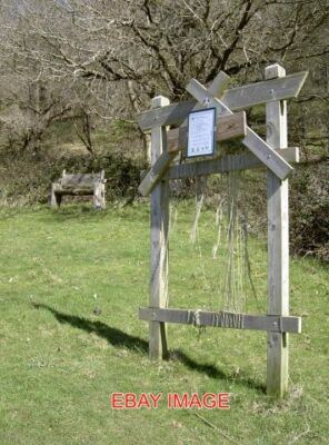 FOTO TICKENHAM DER BRAUNE FELSENWALD PROJEKT AUCH EIN RAHMEN MIT GEWEBTEN FÄDEN