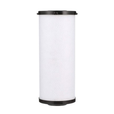 Watts Premier 1-Pack Radial Flow Carbon Block 20-Micron Cartridge .. ..