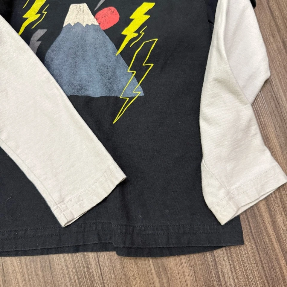 Camiseta Tea Collection Bebé Niño Pequeño Niños Talla 4 Montaje Fuji Gráfico Capas Foto 4 de 4