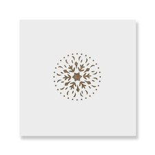 Snowflake Christmas Ornament Stencil - Durable Reusable Mylar Stencils