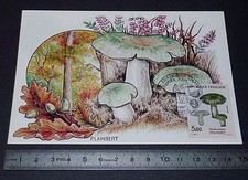 CARTE POSTALE 1er JOUR PHILATELIE 1987 CHAMPIGNONS PALOMET RUSSULE MYCOLOGIE