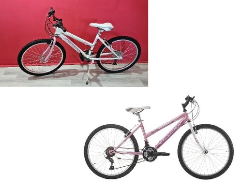 BICI BICICLETTA CINZIA MTB DONNA 24'' SNAKE SHIMANO 18V | eBay