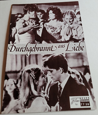 NFP-Filmprogramm: MATT DILLON im Film ''Durchgebrannt aus Liebe'' #2176