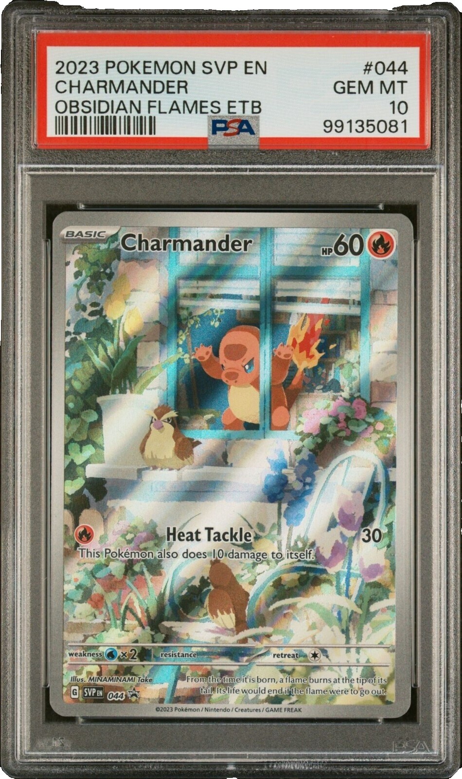 Charmander Promo Obsidian Flames | eBay
