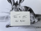 ORIGINAL “Rabbit Sketch” Artist Nat  Hodson 2025 Charcoal 8”x11.5”  NOT AN ACEO — photo 3