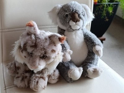 Plüschtier Luchs und Koala, je 25 cm hoch